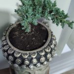 Holisticata (18)